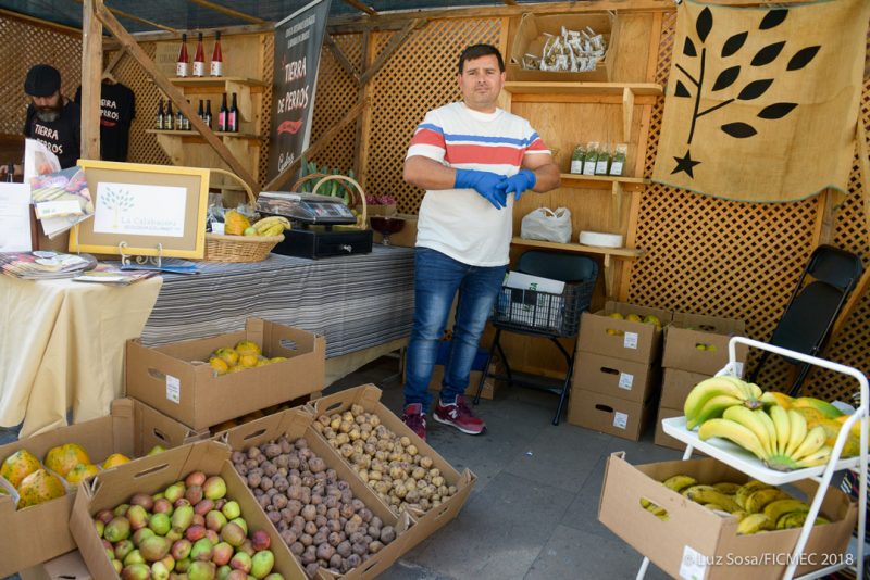 FICMEC_MIERCOLES_30_19