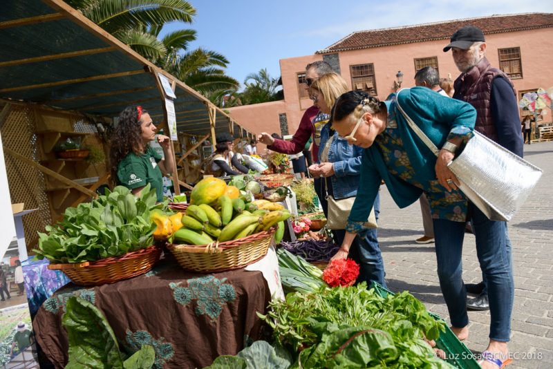 FICMEC_MIERCOLES_30_22