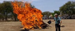 At the London Conference the President of the Republic of Chad Idriss Déby Itno announced the destruction of his country’s ivory stockpile, amongst a range of elephant protection measures to be implemented as Chad takes the lead in the fight to protect Central Africa’s savannah elephants. An estimated 1.1 tons were destroyed at Zakouma National Park's  50 anniversary celebrations. Veterinarian Pete Morkel throws kerosene on Chad’s ivory stockpile.