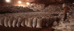 Food aid storage, Ethiopia, 2011; photo cred - Joakim Demmer