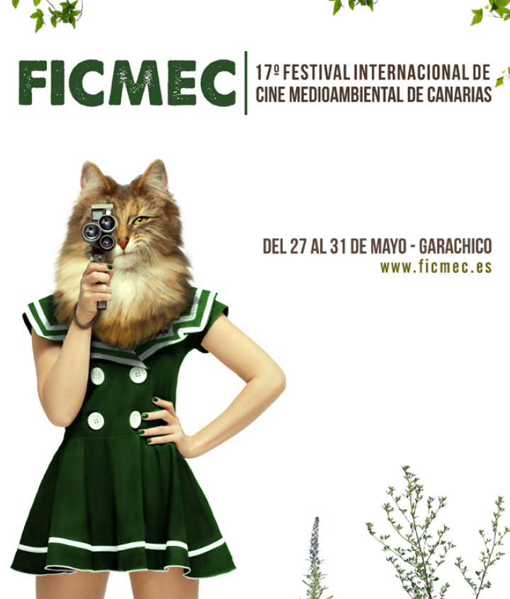 FICMEC-catalogo-2015