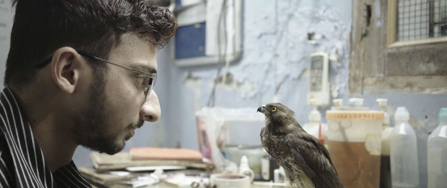 Imagen_1_ALL_THAT_BREATHES