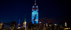 racing extinction