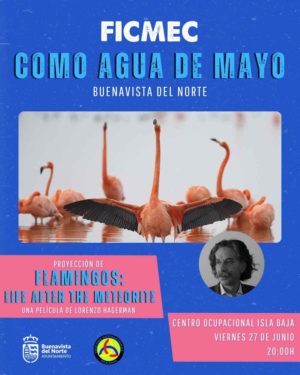 Ciclo anual «Como agua de mayo» - Flamingos