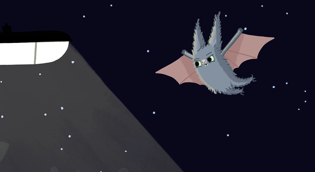 BATS & BUGS