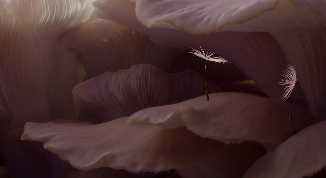 DANDELION’S ODYSSEY
