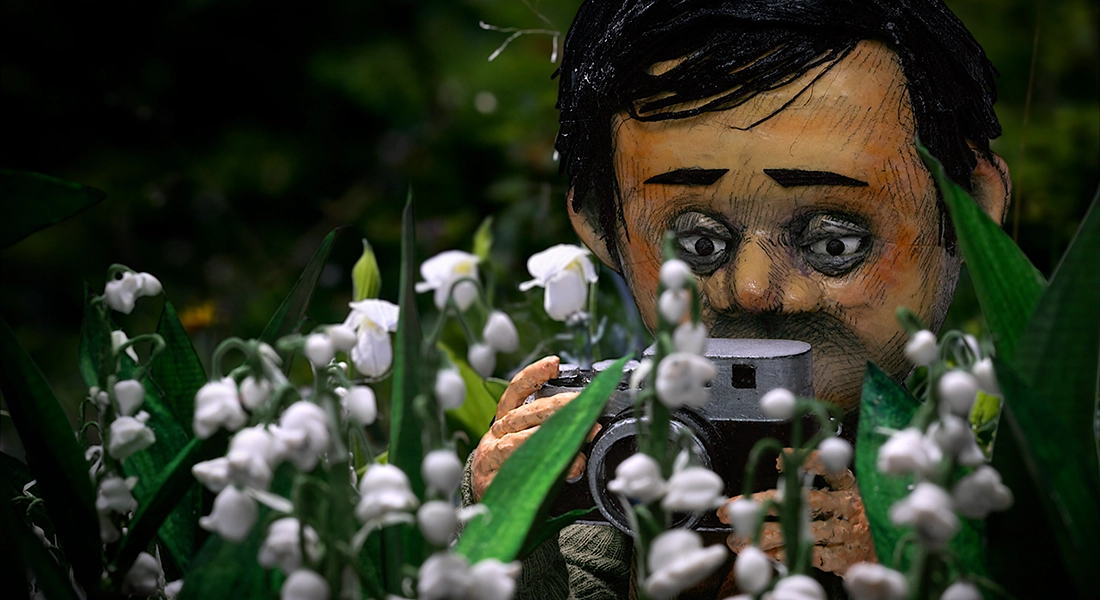 A MAN WHO TAKES PICTURES OF FLOWERS
