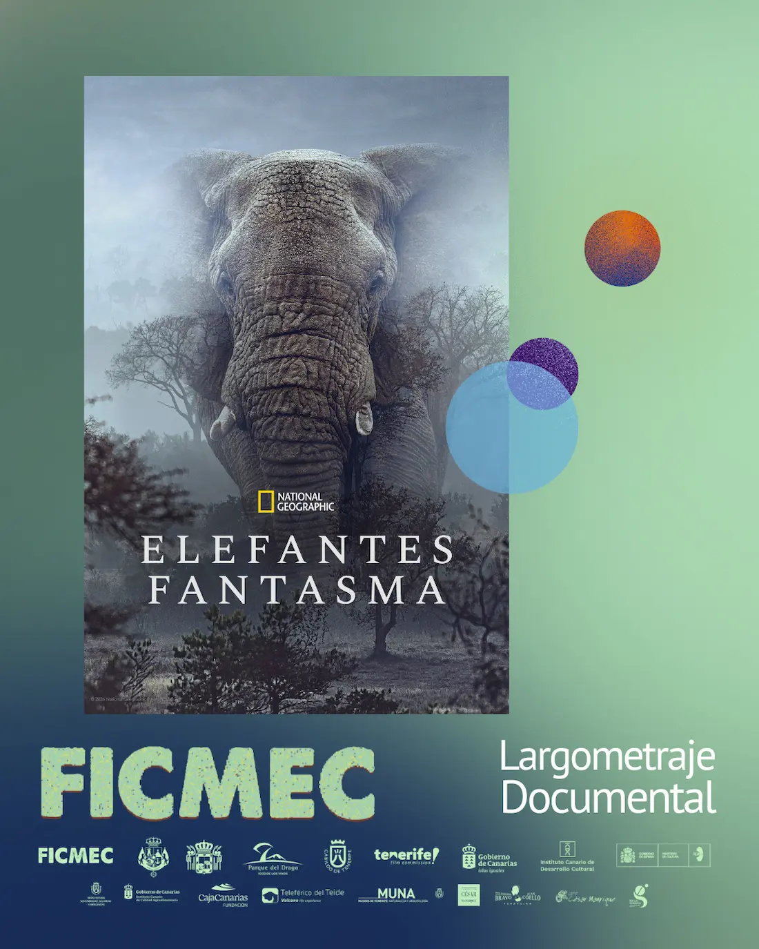 FICMEC_SO_Largometrajes_6