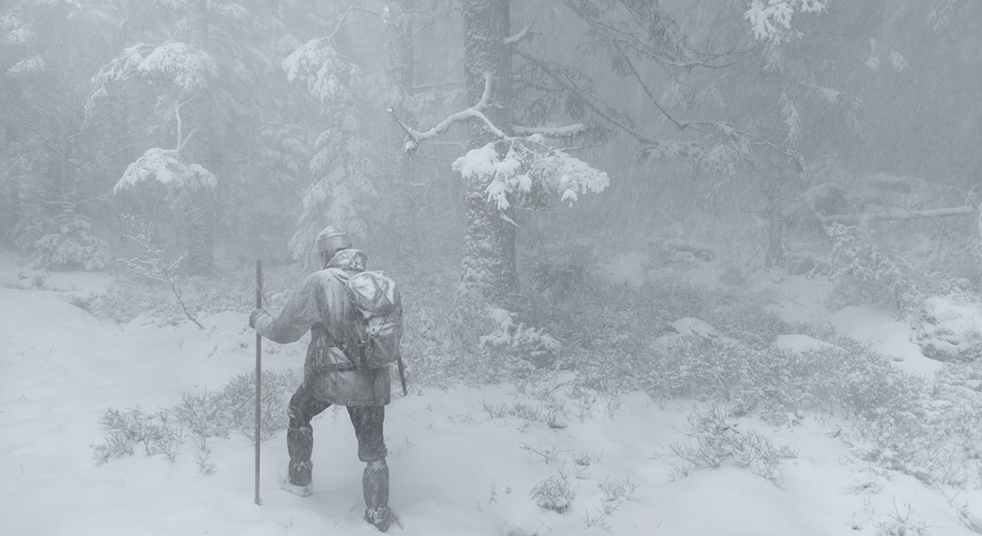 Le Chant Des Forest
