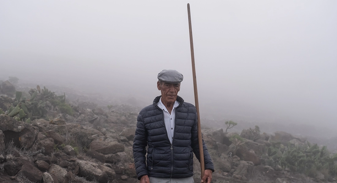 ROQUE LARGO