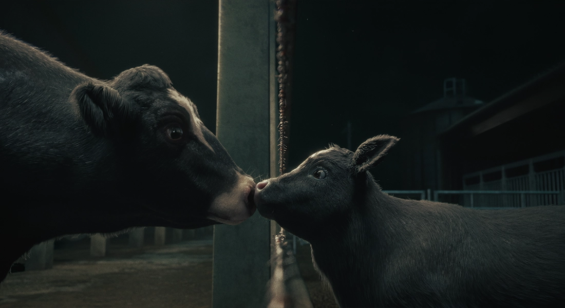 CAPTIVES