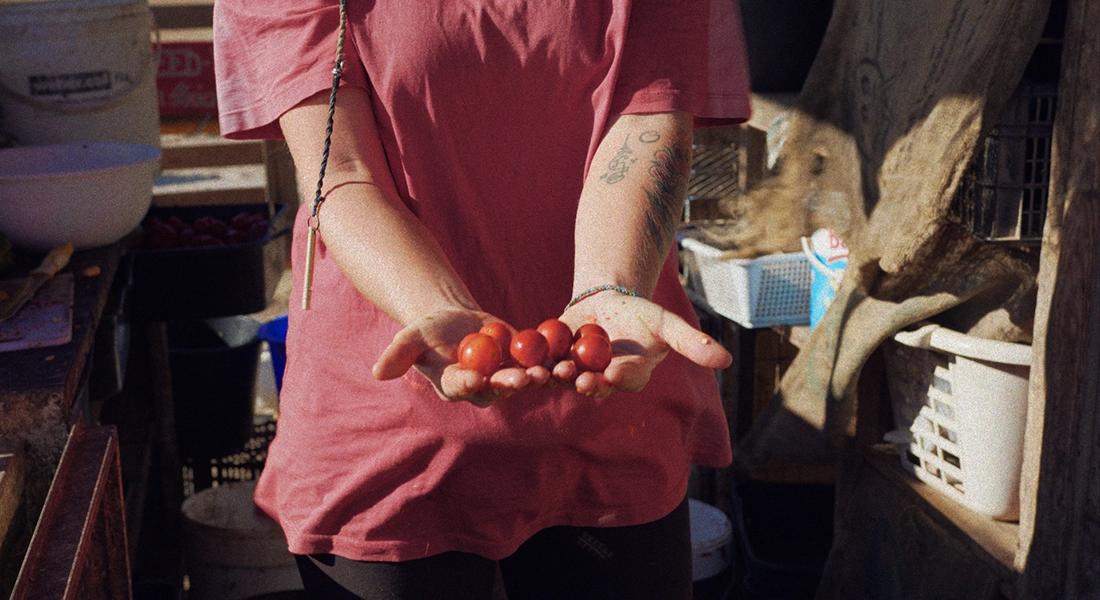 A FOOD STORY