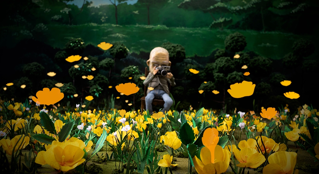 A MAN WHO TAKES PICTURES OF FLOWERS