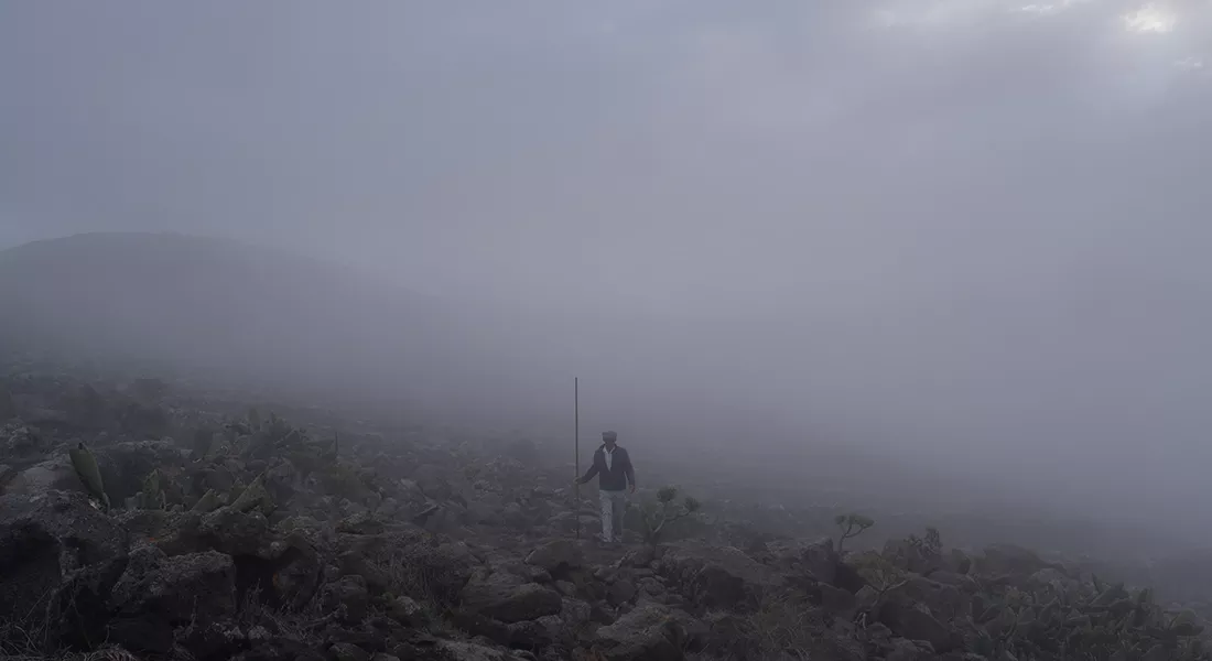 ROQUE LARGO