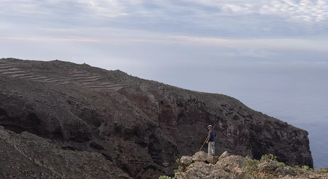 ROQUE LARGO