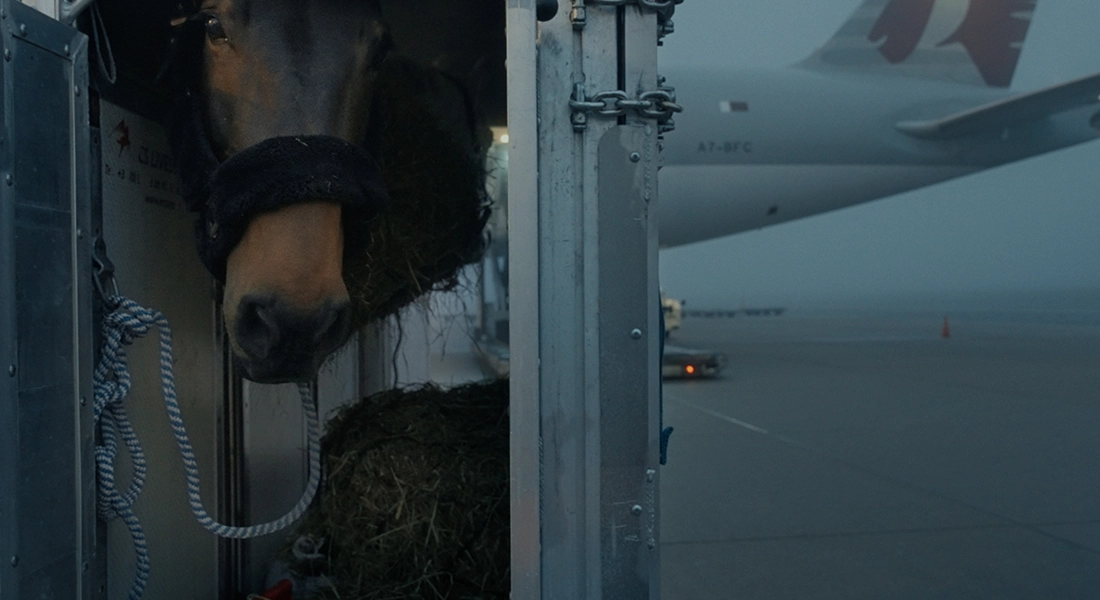 AIR HORSE ONE